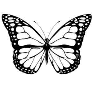 Meet your Posher, Dorothy